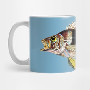 Musical Fish in G Flat Mug